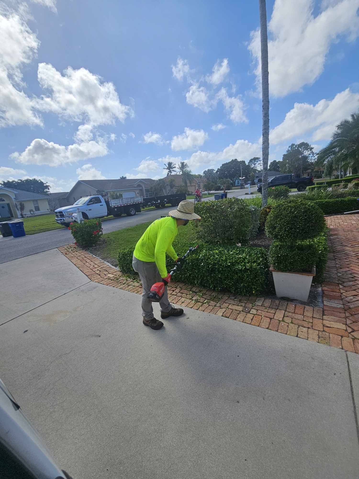 Zach Trimming Shrubs
